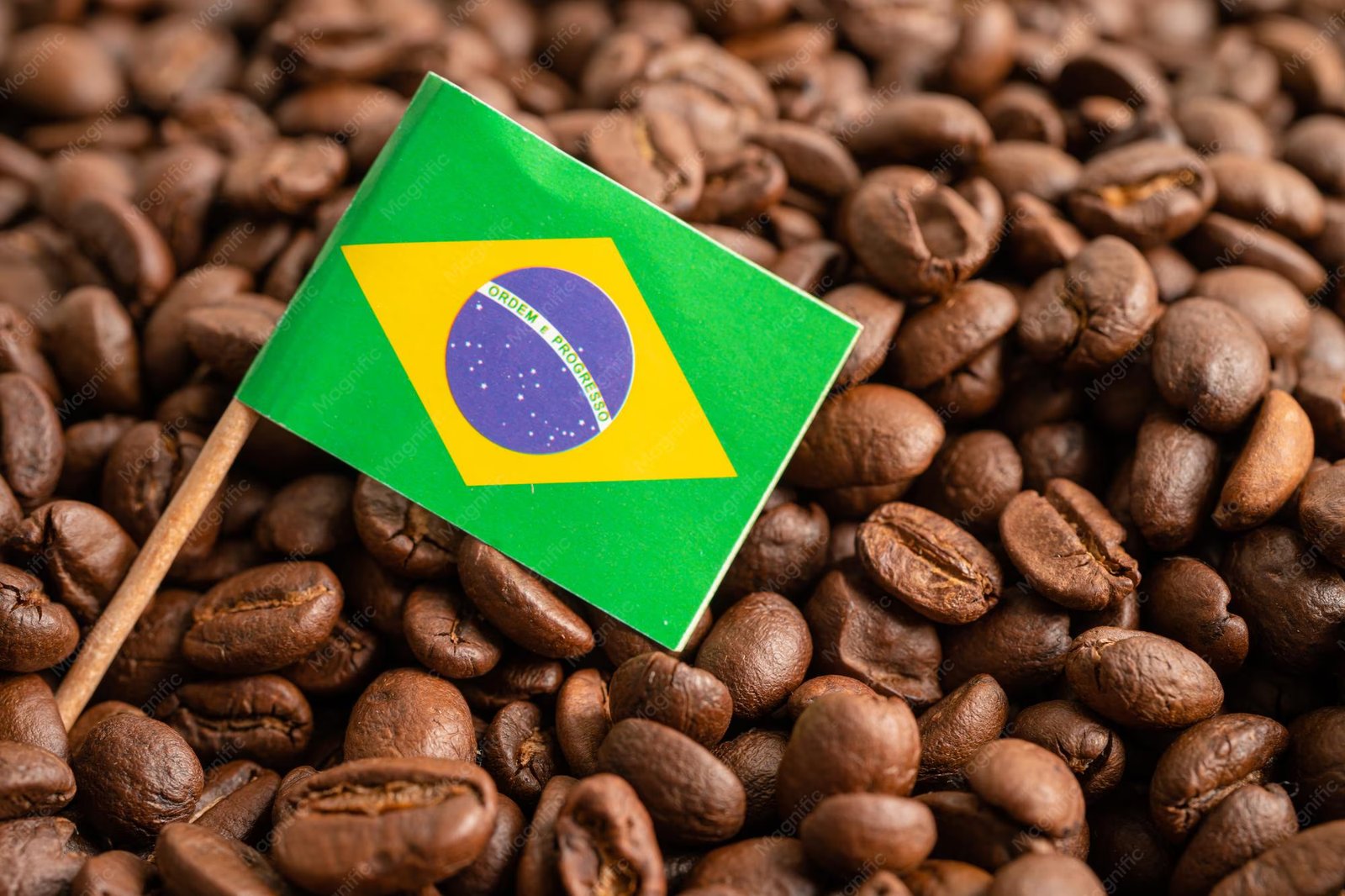 Brazilian Coffee