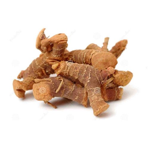 Chinese Galangal